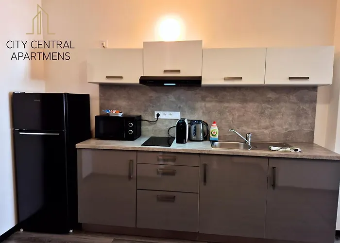 City Center Apartments - Moderna Brno Rimske Namesti VI